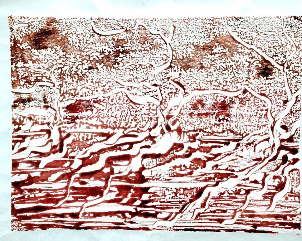 Mangrove 紅樹林